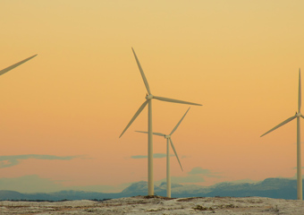 Wind farm